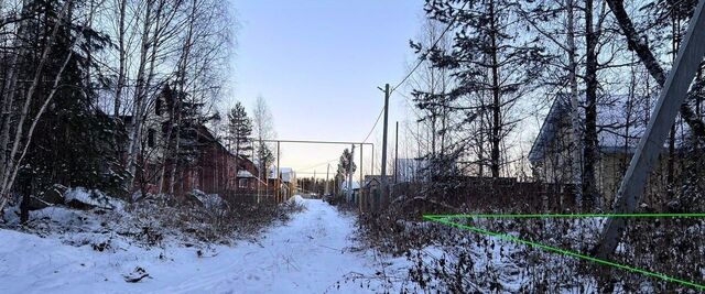 земля п Кедровое ул Спортивная фото