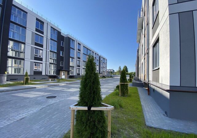 р-н Центральный дом 81 корп. 3 фото