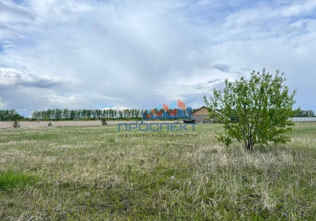 ул Лесная 2 91 км, сельское поселение Иваньковское, Московская область, Кашира, направление Павелецкое (юго-<текст-удален>, Каширское шоссе фото