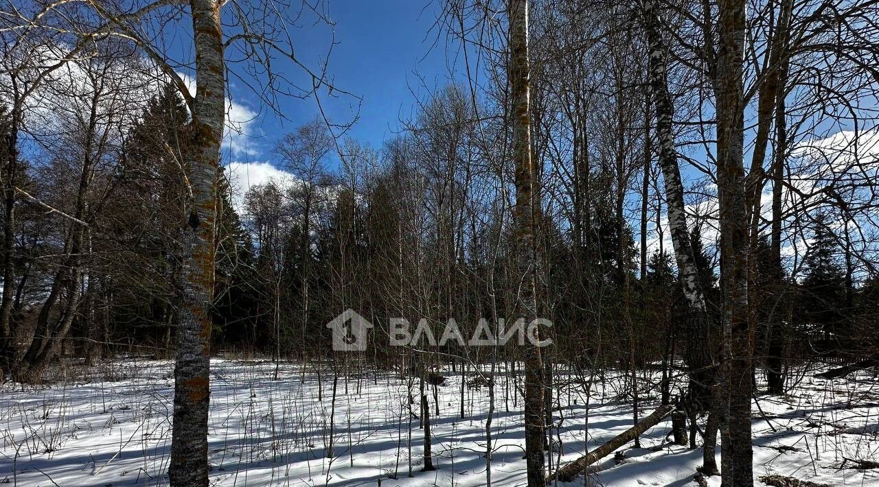 земля г Наро-Фоминск тер Николины озера 405, Наро-Фоминский городской округ фото 2