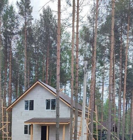 Мурманское шоссе, 13 км, Всеволожское городское поселение, территория СОСН Раздолье фото