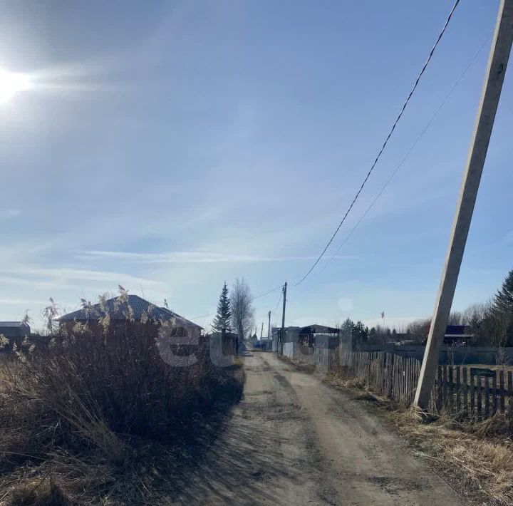 земля г Тюмень р-н Центральный снт Царево ул Тальниковая фото 6