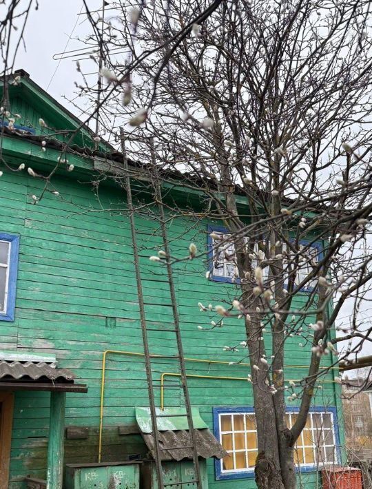 квартира г Киров р-н Первомайский микрорайон Коминтерновский ул Боровая 29 фото 21