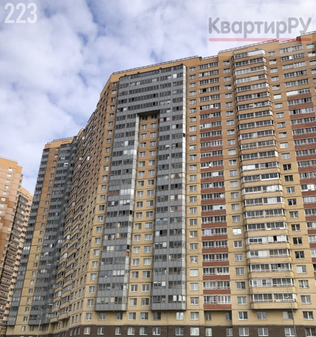 Девяткино, Центральный м-н фото