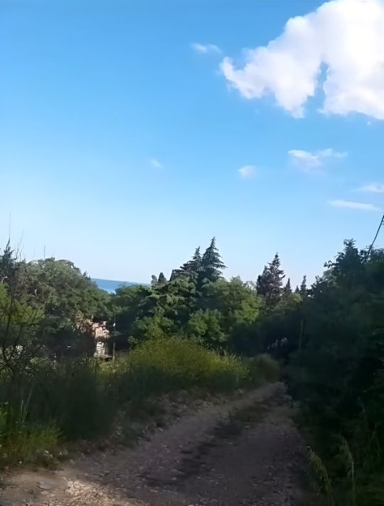 земля г Ялта пгт Кореиз фото 1
