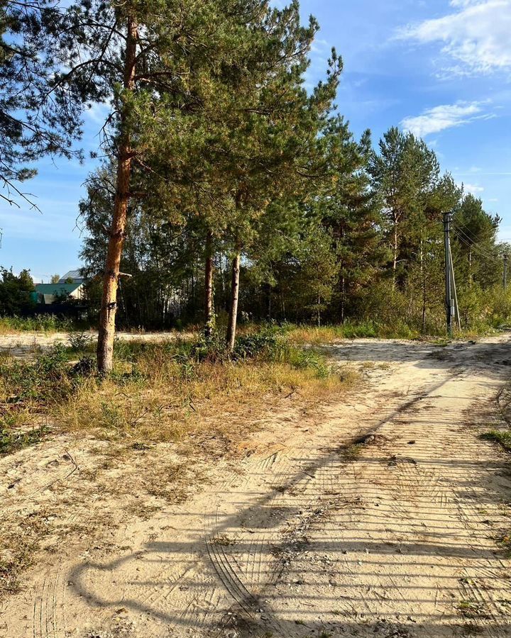 земля г Электрогорск снт Татьяна 63 км, 34, Павлово-Посадский г. о., Горьковское шоссе фото 1