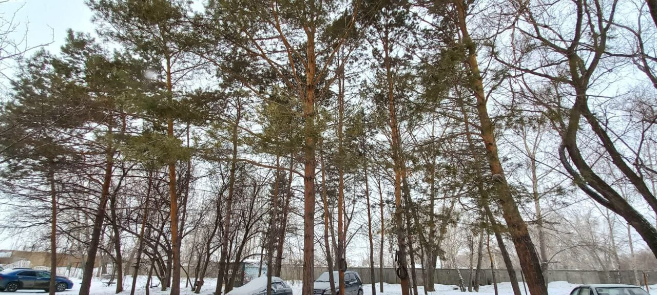 квартира г Омск ул Мостоотряд 63а фото 10