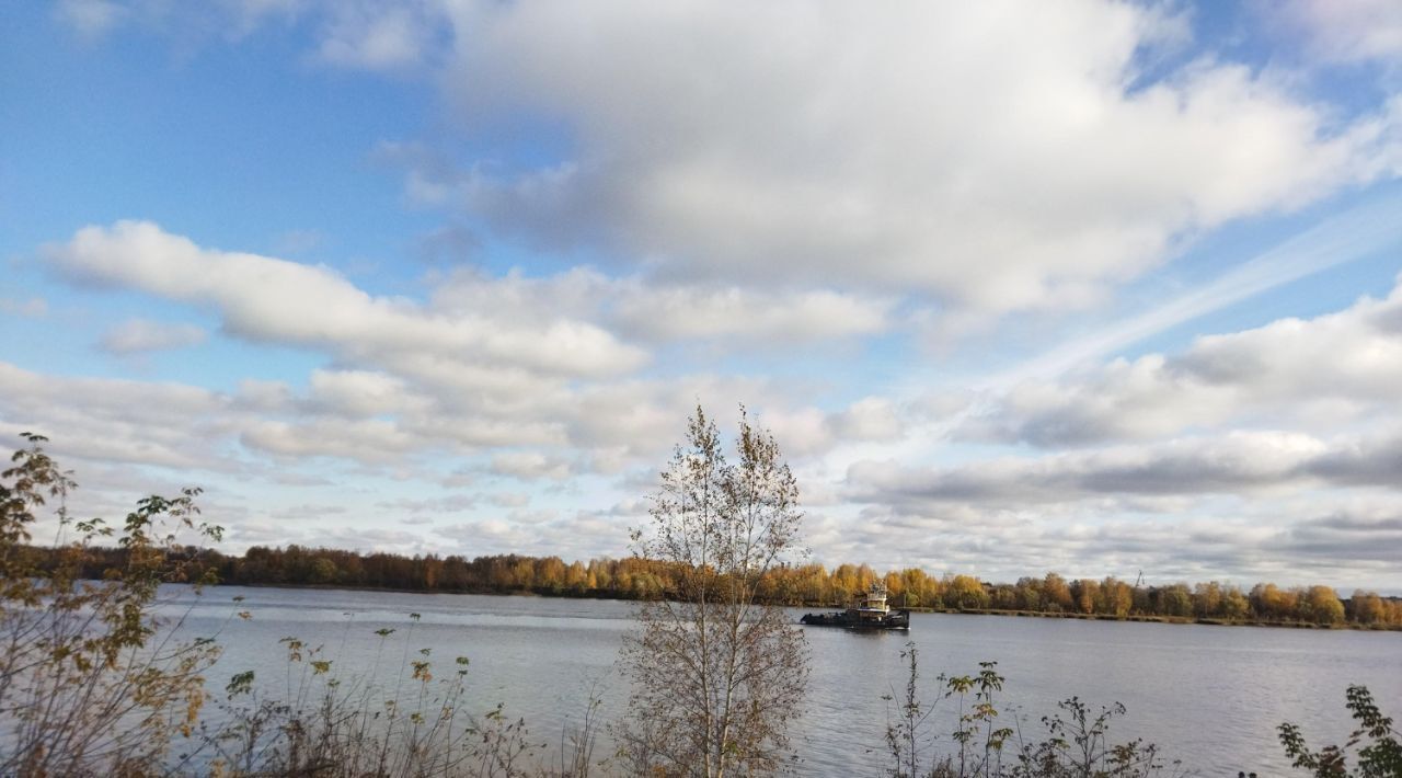 дом г Ярославль р-н Фрунзенский пер 1-й Городищенский 3 фото 14