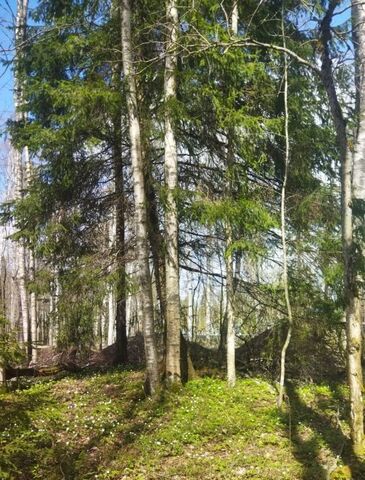 нп 2-я Линия Токсовское городское поселение, Воякоярви СНТ фото