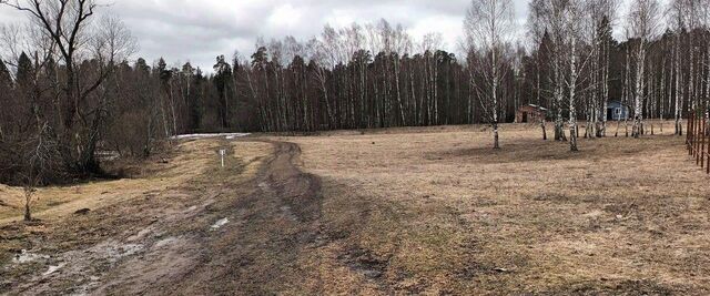 д Савинки снт Савинки фото