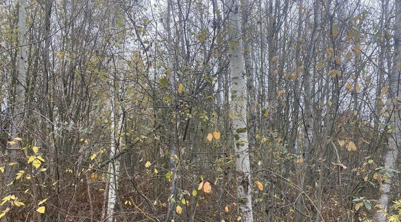 земля г Орехово-Зуево проезд 1-й Южный фото 2