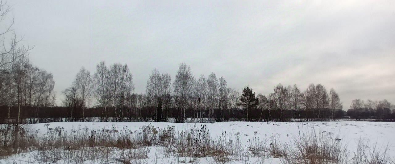 офис г Лосино-Петровский фото 1
