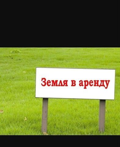 р-н Беловский с Поморцево ул Волкова Кемеровская обл. — Кузбасс, Инской фото