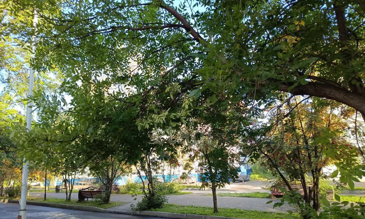 квартира г Анжеро-Судженск ул Ломоносова 1 Кузбасс фото 3