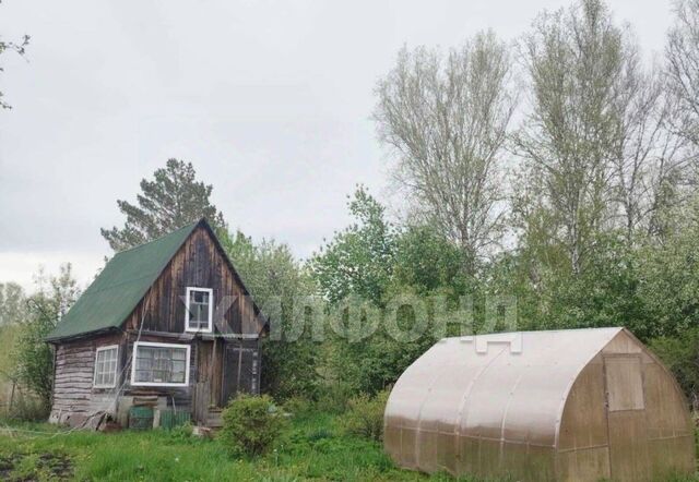 Октябрьская фото