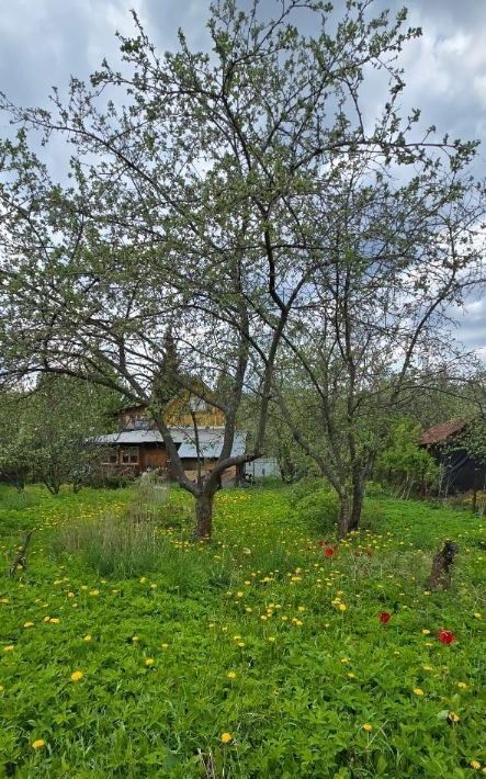 дом городской округ Богородский г Старая Купавна снт Чайка Железнодорожная, 76 фото 16