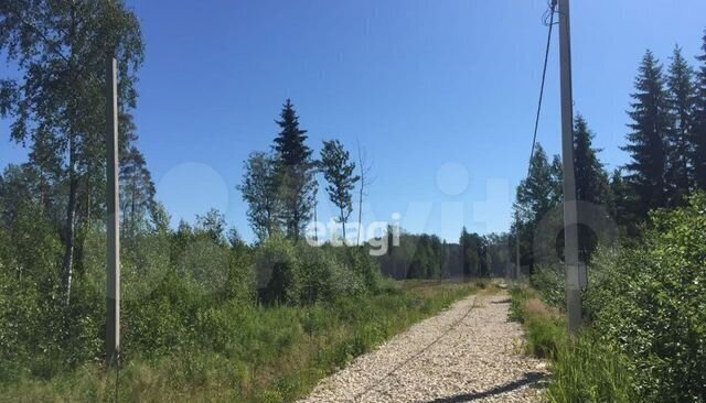 снт Эксперт Московское шоссе, 50 км, Тосненское городское поселение, массив Рубеж, 4-я линия, 23, Тосно фото