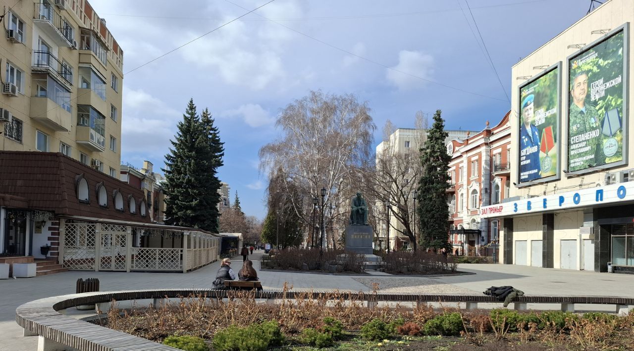 квартира г Воронеж р-н Центральный ул Пушкинская 2 фото 35