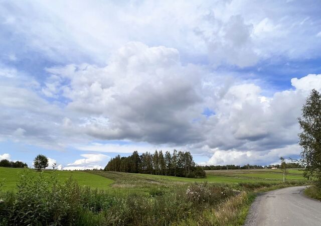 г Краснозаводск 70 км, территория Шубино-Яркое, Путеводная ул, Ярославское шоссе фото