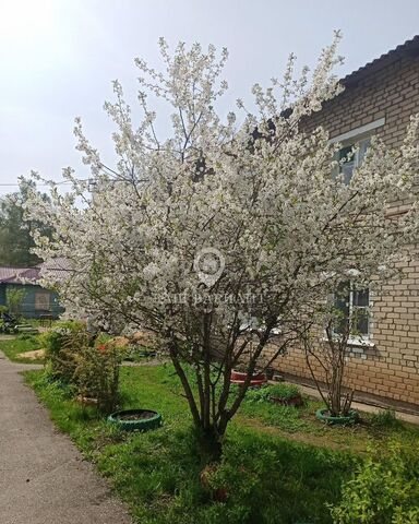 с Новый Некоуз ул Кооперативная 5 Некоузское сельское поселение фото