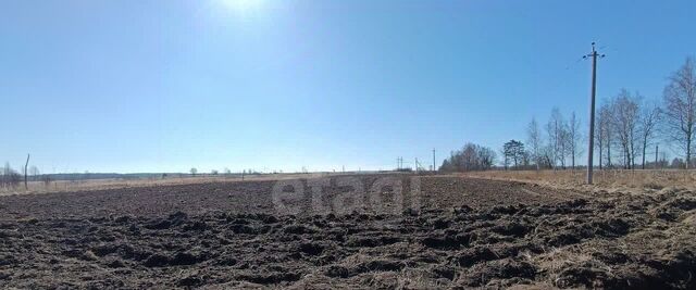 земля п Гедеоновка ул. Светлая фото