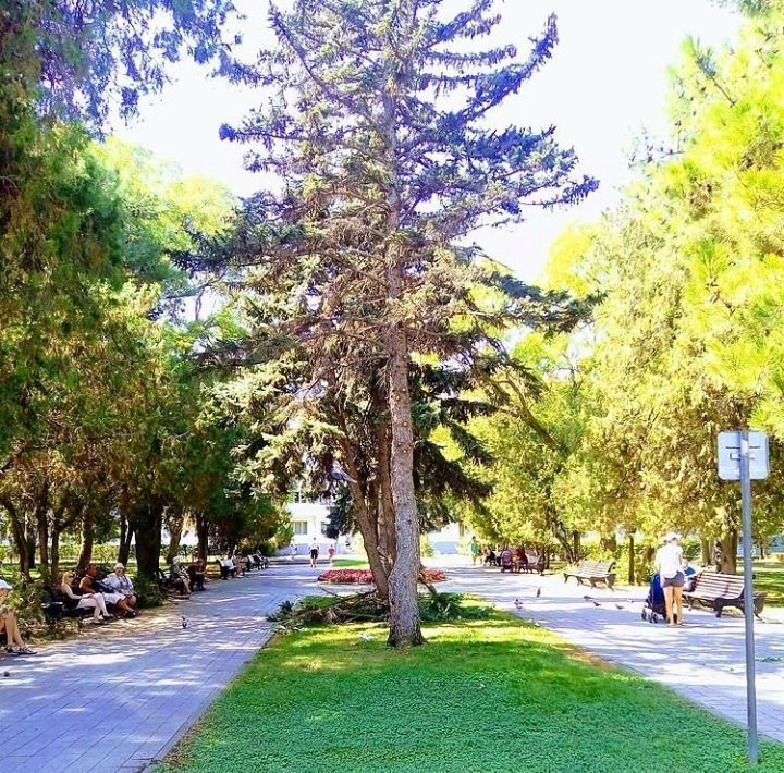 торговое помещение р-н Анапский г Анапа ул Терская 91а фото 17