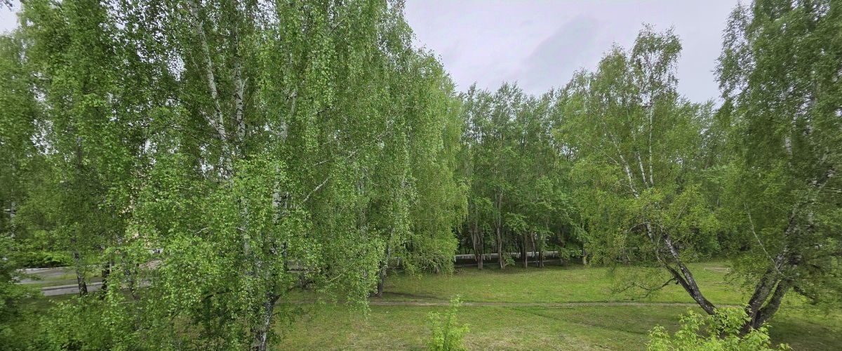 квартира г Чебаркуль ул Каширина 13 фото 17
