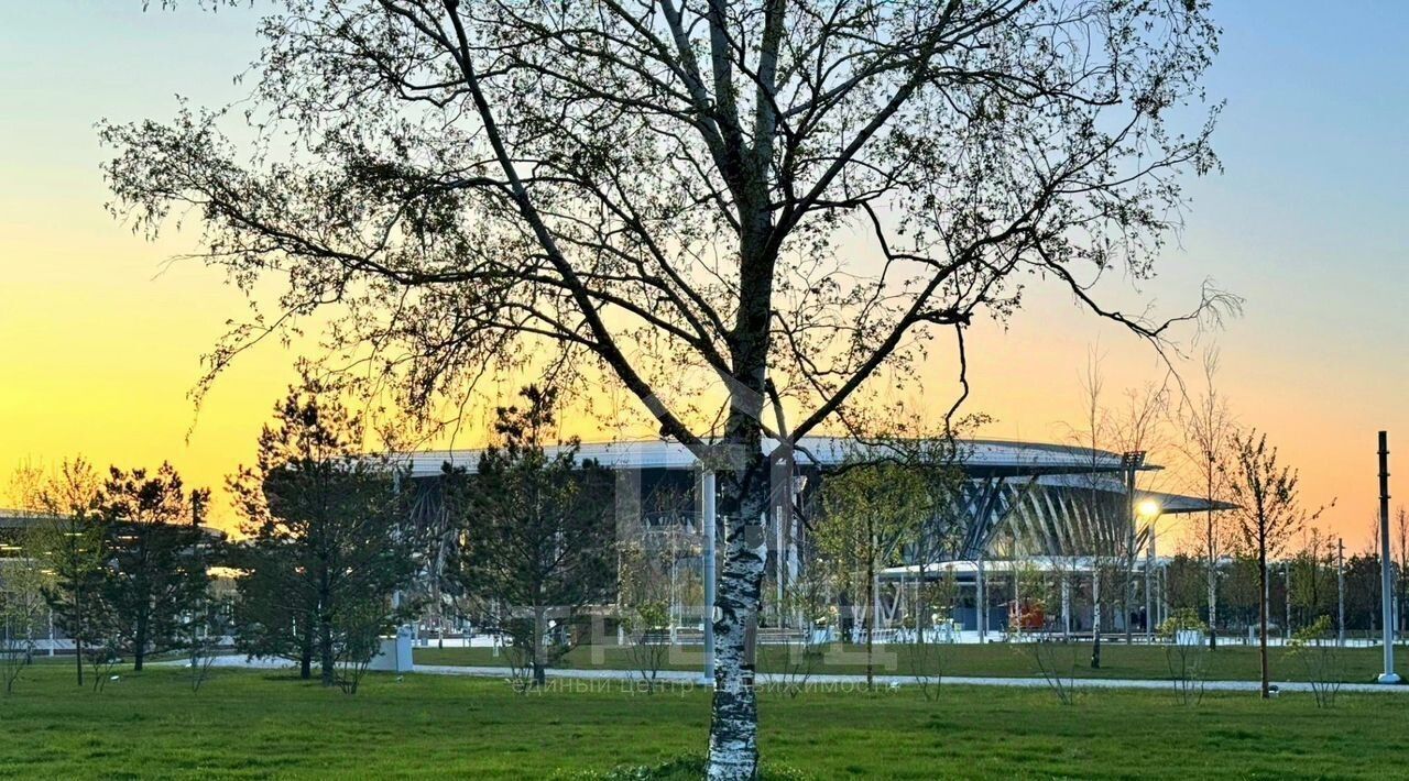 квартира г Санкт-Петербург метро Парк Победы ул Бассейная 77 округ Гагаринское фото 33