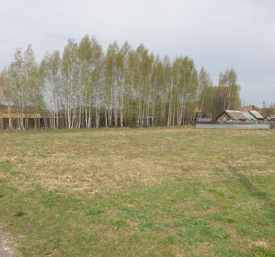 земля р-н Городецкий г Городец д. Лисино фото 1