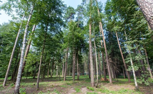 ул Центральная слобода 15 км, Красногорск, Рублёво-Успенское шоссе фото
