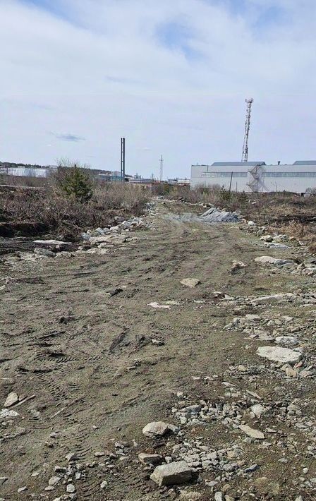 земля г Екатеринбург Геологическая ул Архитектора Белянкина 39 фото 13