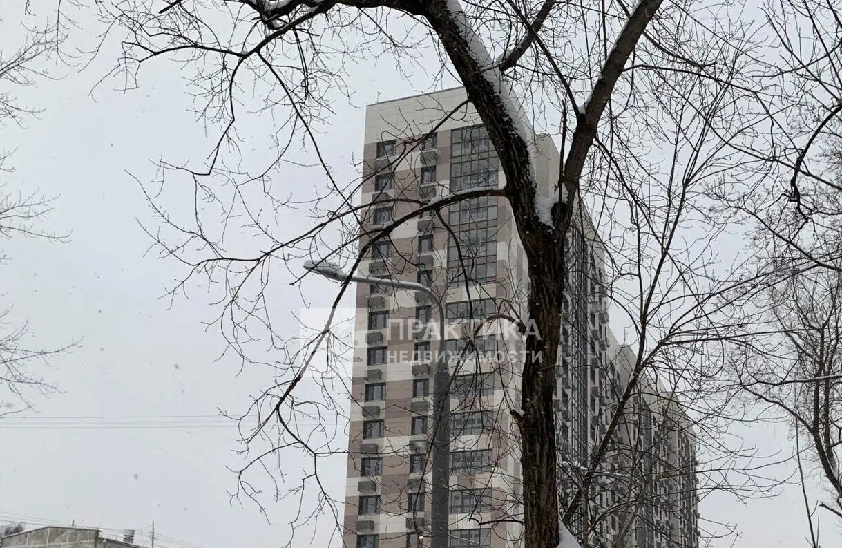 квартира г Москва метро Царицыно ул Ереванская 8 фото 4