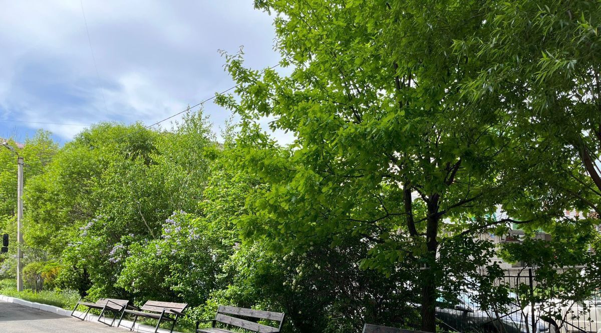 квартира г Омск р-н Центральный ул Маршала Жукова 144 фото 22