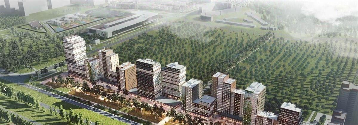 квартира г Воронеж р-н Центральный пр-кт Московский 138 ЖК «Бунин» фото 2
