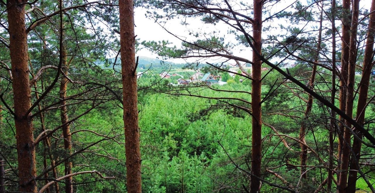 земля г Верхний Уфалей фото 4