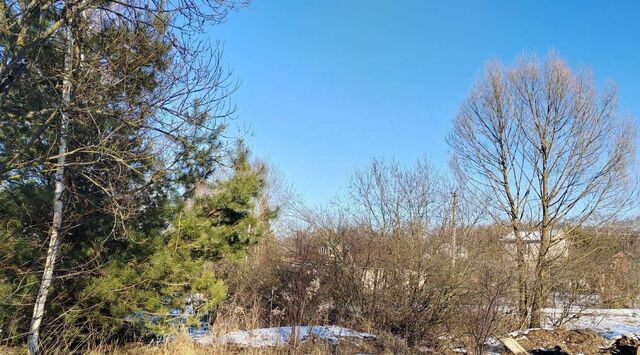 городской округ Чехов д Леониха фото