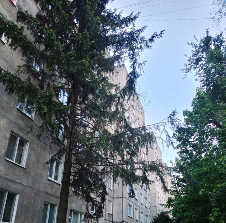 квартира г Орел р-н Советский пер Ягодный 8 фото 15