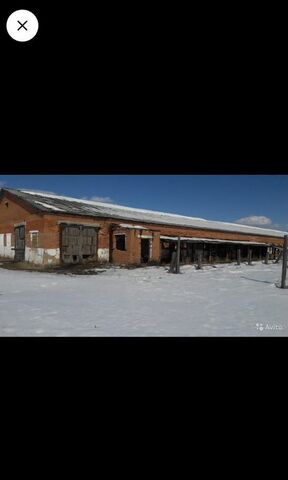 офис р-н Свободненский с Нижние Бузули ул 60 лет Октября 60 Свободный фото
