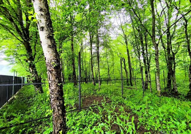 ул Нижегородская Нижегородское сельское поселение, Нефтегорск фото