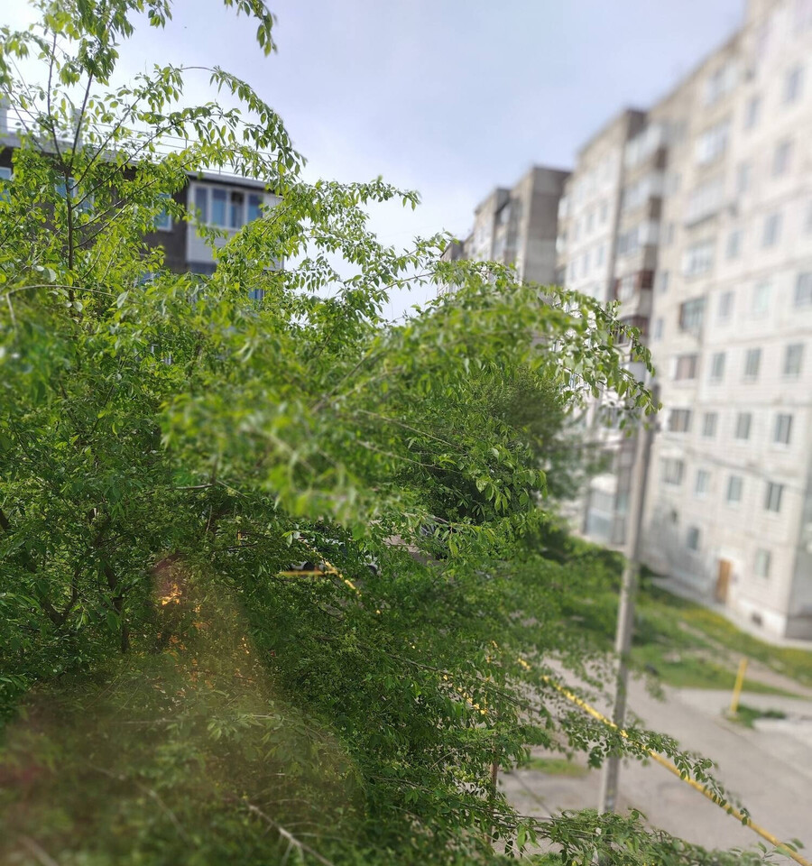 квартира г Барнаул р-н Железнодорожный ул Юрина 114 фото 8
