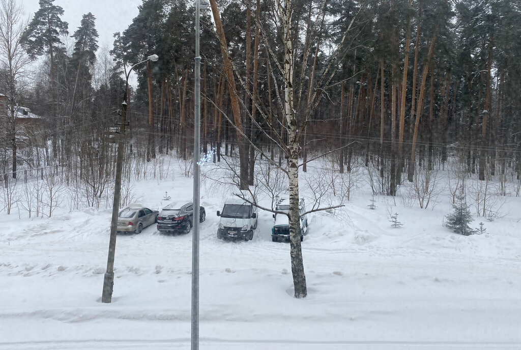 квартира городской округ Пушкинский г Красноармейск ул Новая Жизнь 8 фото 2