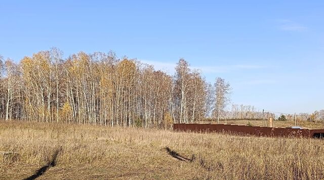 Шуваевский сельсовет фото
