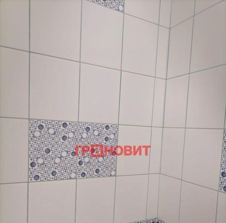 квартира г Новосибирск Берёзовая роща пр-кт Дзержинского 7 фото 8