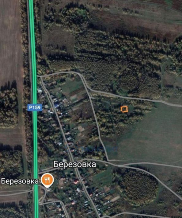 земля г Бор д Березовка (Кантауровский с/с) ул Сергеевская фото 1