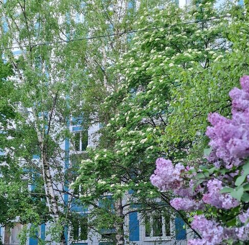 ЮАО ул Бирюлёвская 45к/1 фото