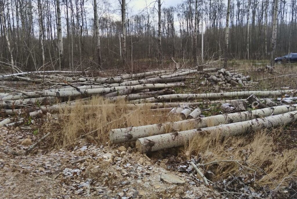 земля г Череповец р-н Заягорбский 37-й микрорайон фото 1