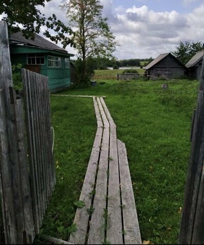 д Федоровская Белозерский муниципальный округ фото