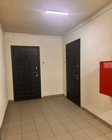 метро Пролетарская Александровское ул Бабушкина 84к/1 округ Обуховский фото