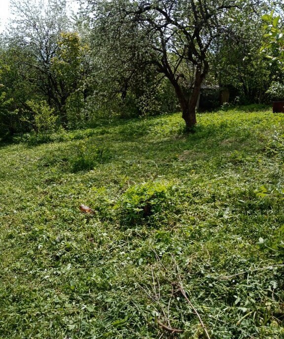 земля г Владимир снт Дружба-2 фото 10