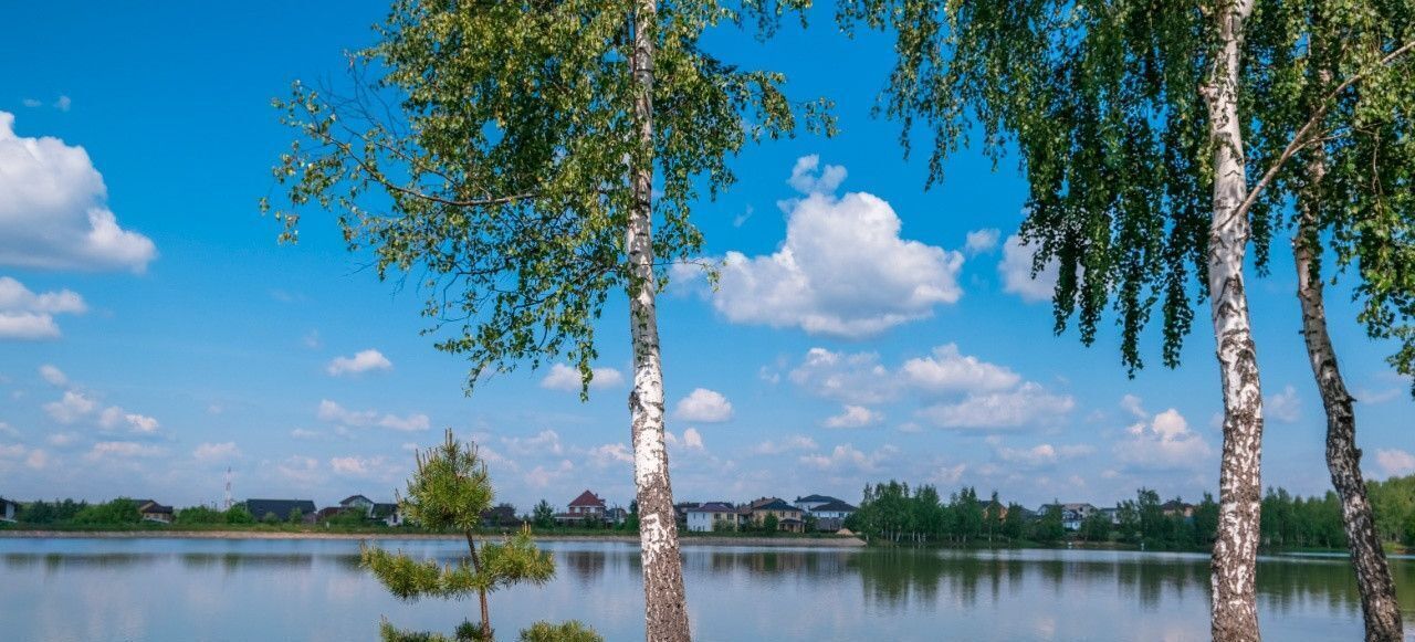 земля г Чехов Южные озера-3 кп фото 6